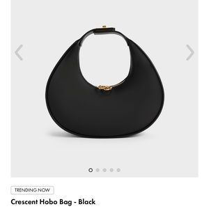 ✨ SOLD ✨ Charles and Keith Black Crescent Hobo Bag